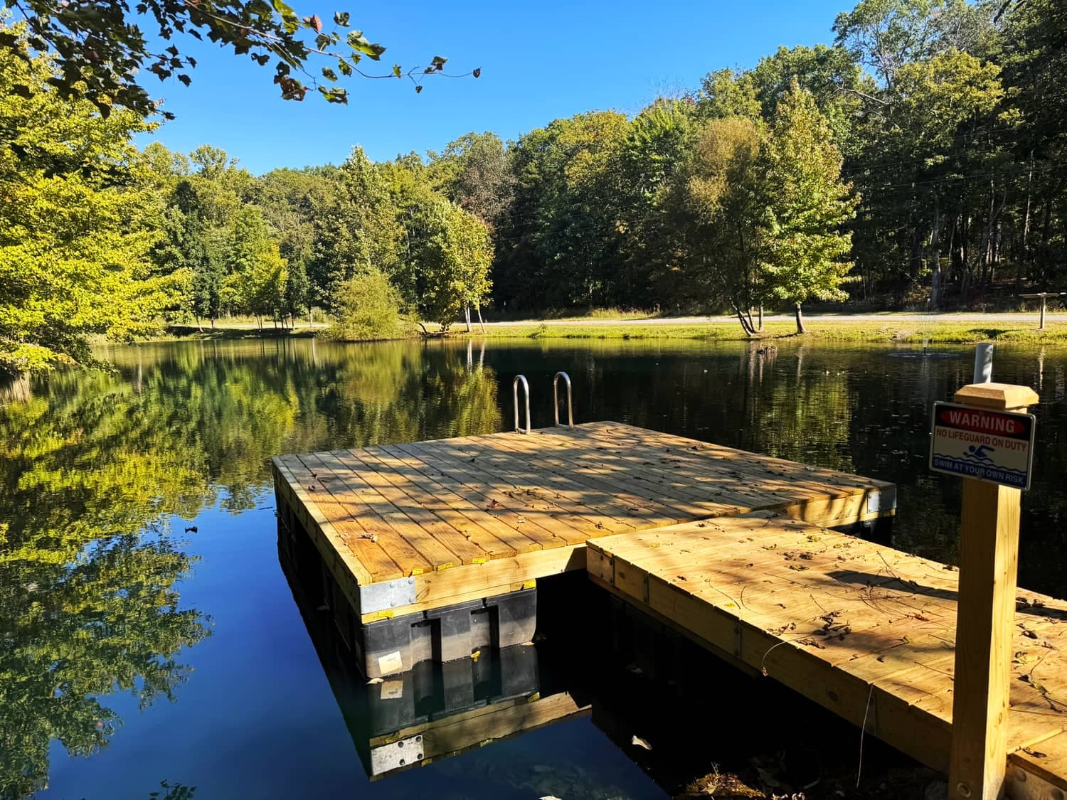The dock on Terralodge's pond on a clear day, with woods along the far bank